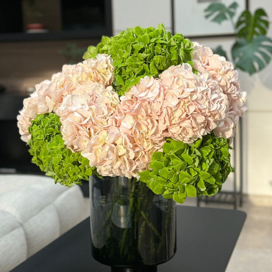 Arreglo "Bicolor de Hortencias"