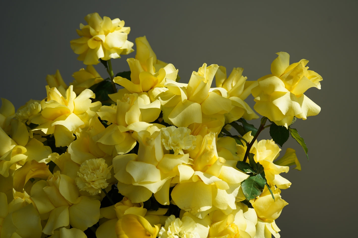 Cesta "Spring Sun"