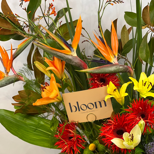 Arreglo "Tropical Florida"