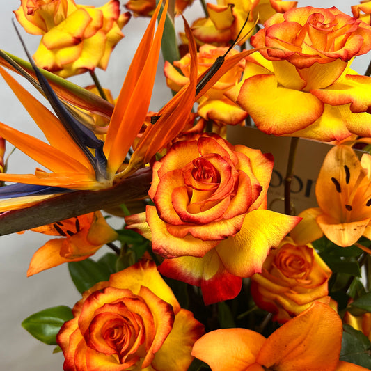 Cesta "Tropical Roses"