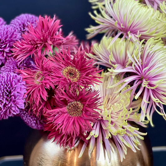 Arreglo "Secret Terracora"