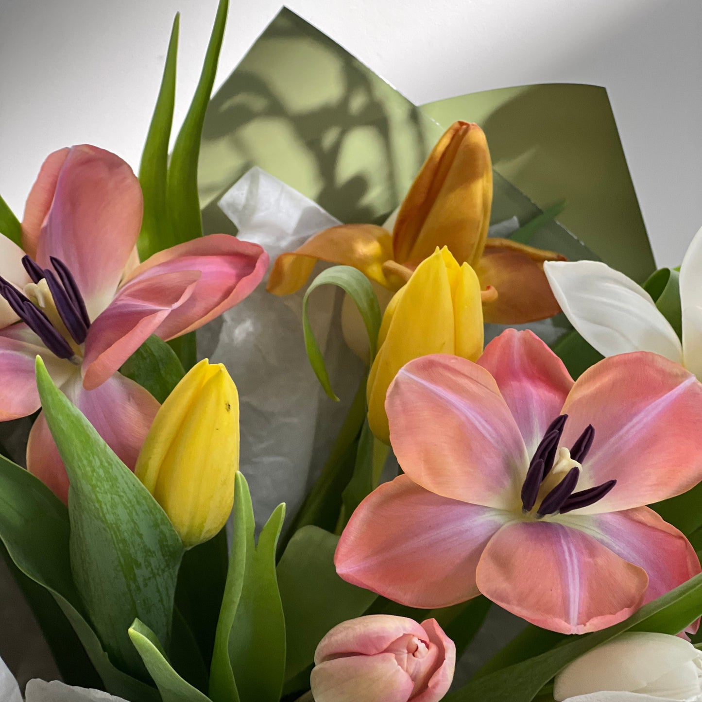 Ramo "Tulip Colors"