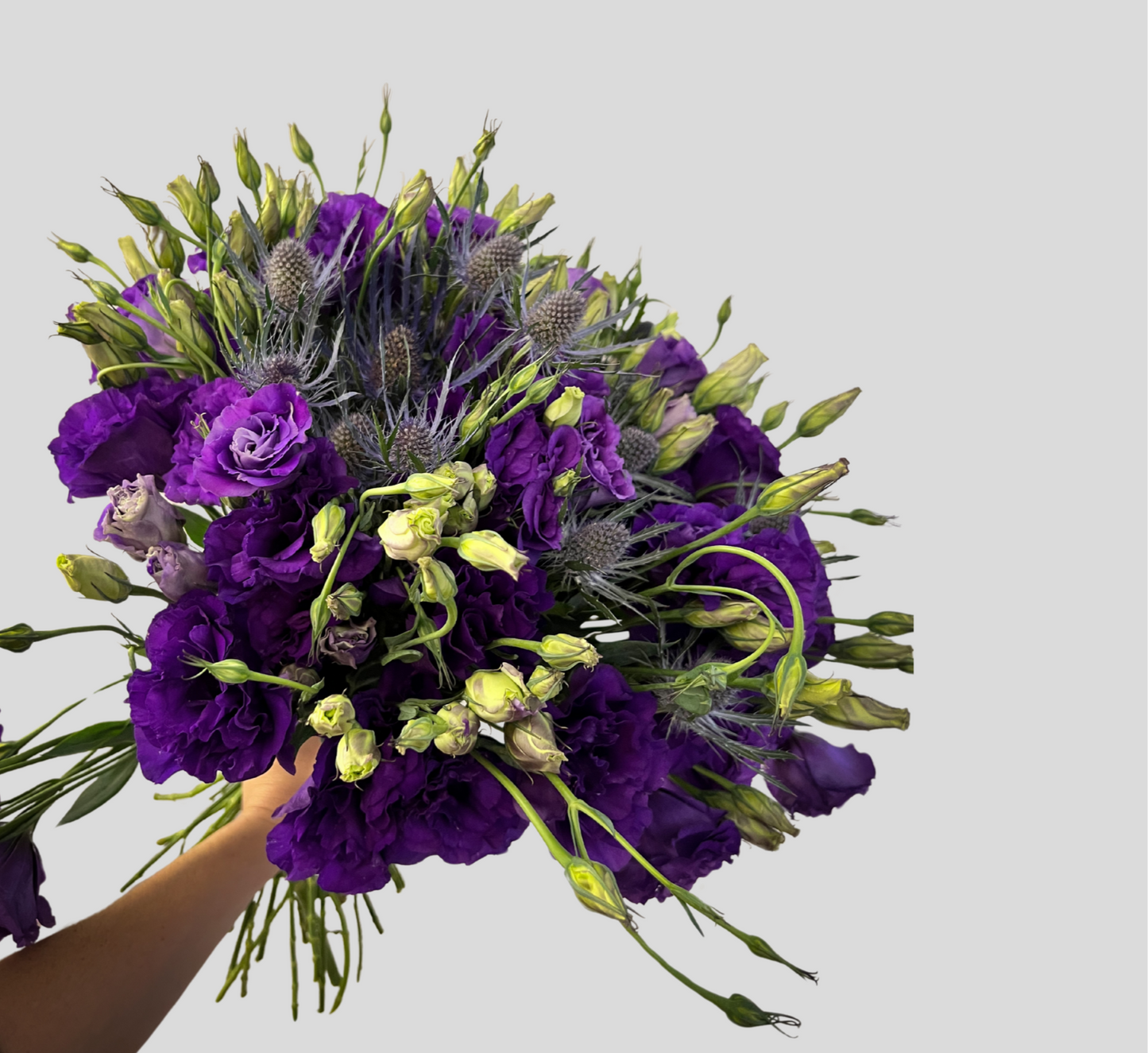 Ramo "Urban Bloom"